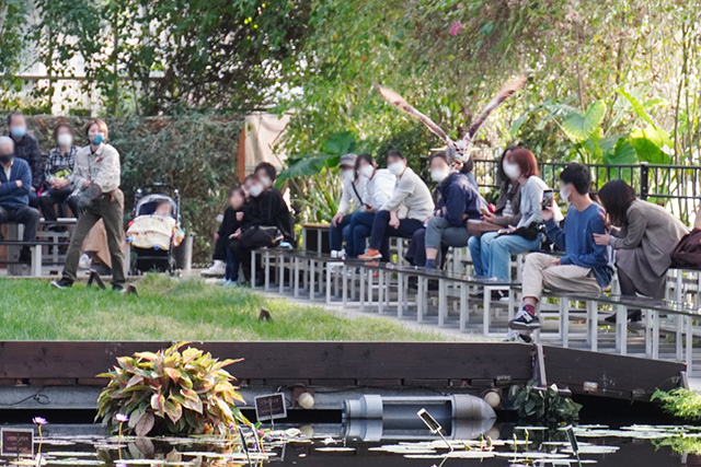 バードパフォーマンスショーの様子/神戸どうぶつ王国（兵庫県/神戸市）