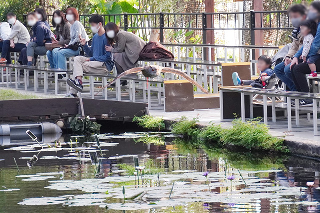 バードパフォーマンスショーの様子/神戸どうぶつ王国（兵庫県/神戸市）