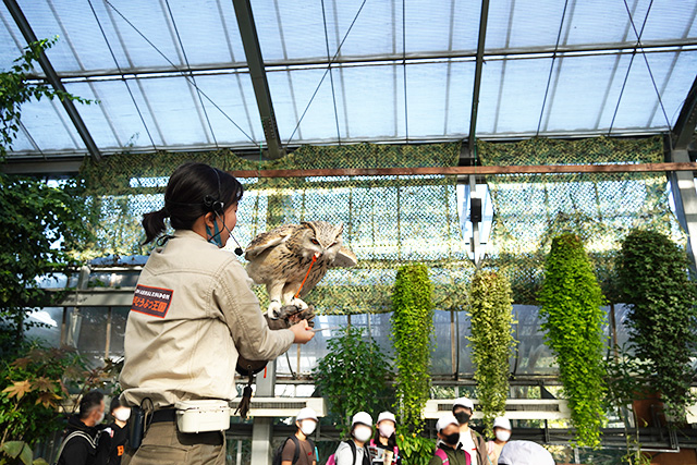 バードパフォーマンスショーの様子/神戸どうぶつ王国（兵庫県/神戸市）