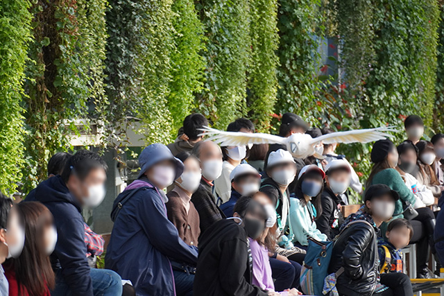 バードパフォーマンスショーの様子/神戸どうぶつ王国（兵庫県/神戸市）