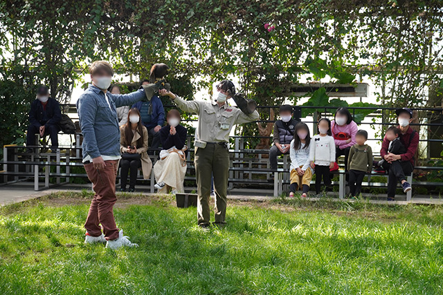 バードパフォーマンスショーの様子/神戸どうぶつ王国（兵庫県/神戸市）