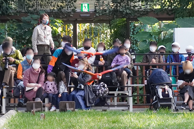 バードパフォーマンスショーの様子/神戸どうぶつ王国（兵庫県/神戸市）