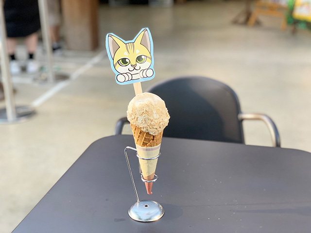 アルパカフェのスナネコアイス/神戸どうぶつ王国（兵庫県/神戸市）