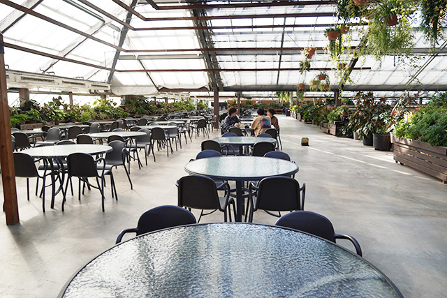 アルパカフェ2階スペース/神戸どうぶつ王国（兵庫県/神戸市）