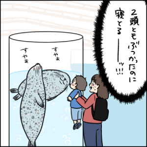 ぶつかろうがお構いなし！睡眠第一のアザラシたち｜2歳とお出かけ in 京都水族館③