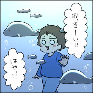 子ども目線で楽しめる水槽がいっぱいで大はしゃぎ！｜2歳とお出かけ in 京都水族館④