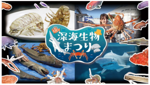 横浜八景島シーパラダイスで深海魚イベント開催!深海生物をさわって食べちゃおう