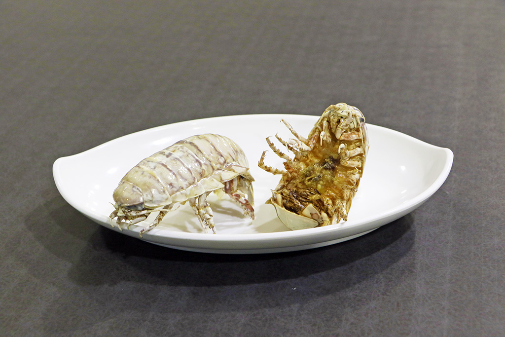 オオグソクムシの素揚げ/八景島シーパラダイス(神奈川県/横浜市)