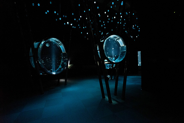 クラゲを展示する「海月銀河」/海遊館(大阪府/大阪市)