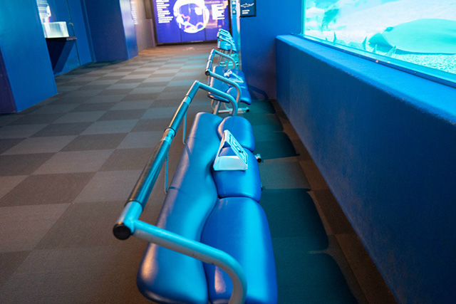 椅子に座って観察/海遊館(大阪府/大阪市)