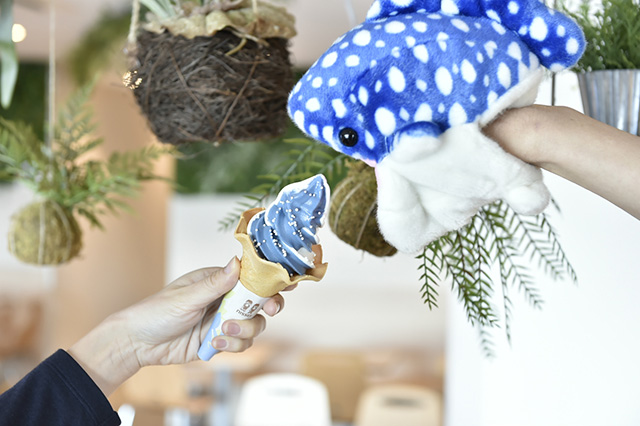 ラムネとバニラのジンベエソフト/海遊館(大阪府/大阪市)