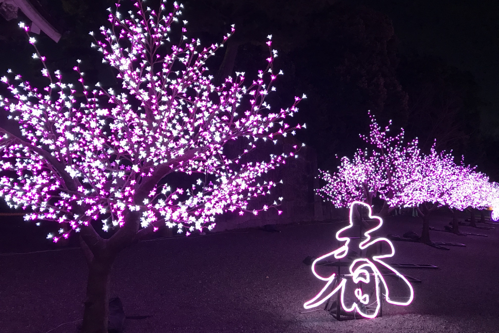 桜のイルミネーション並木/京都二条城イルミナージュ(京都市/中京区)