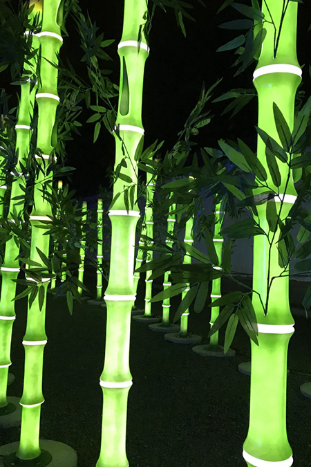 光る竹のトンネル/京都二条城イルミナージュ(京都市/中京区)