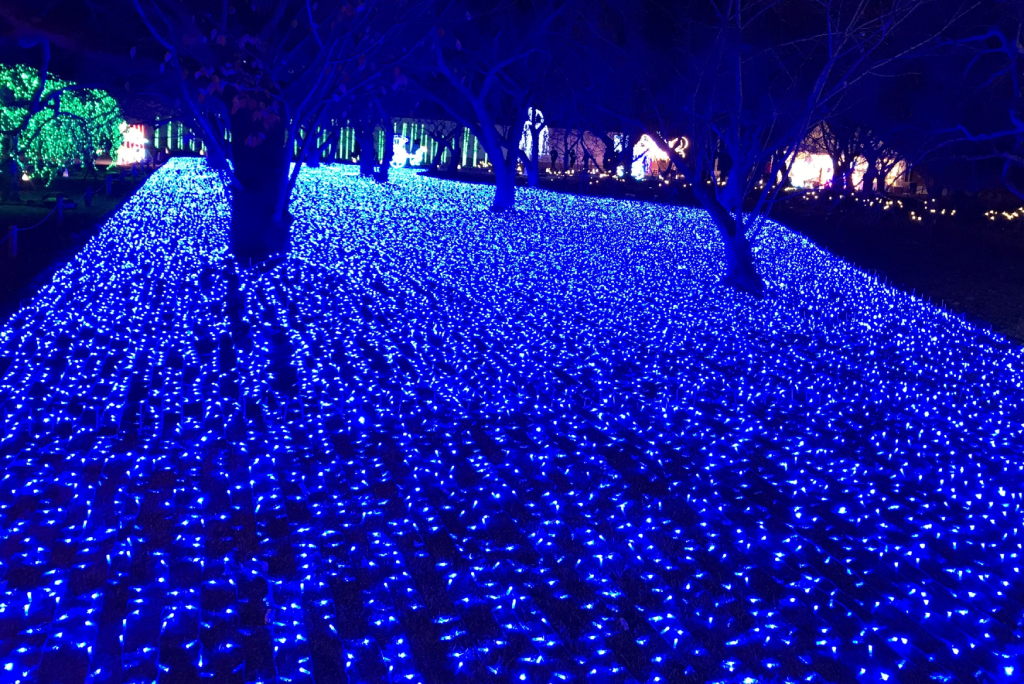 夏の清流をイメージした青いイルミネーション/京都二条城イルミナージュ(京都市/中京区)