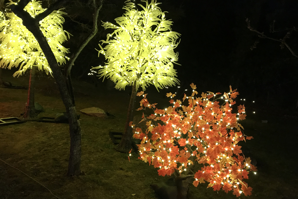 ススキや広葉樹のイルミネーション/京都二条城イルミナージュ(京都市/中京区)