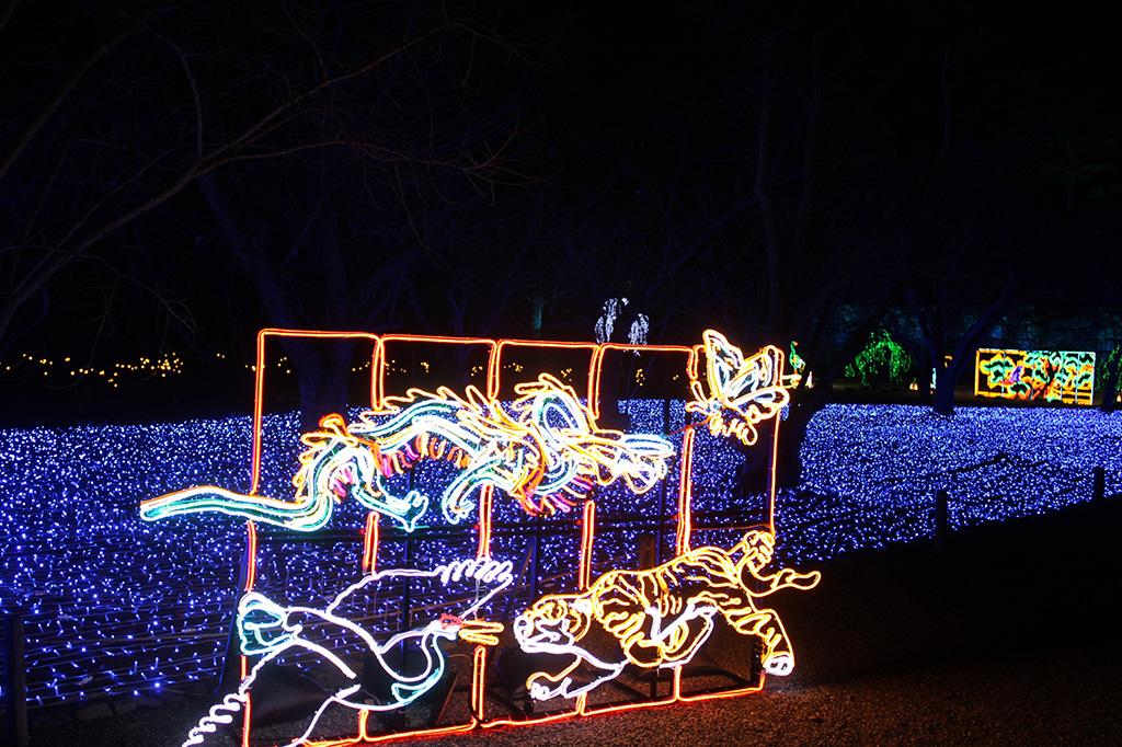 「唐門」に描かれた生きもののイルミネーション/京都二条城イルミナージュ(京都市/中京区)/京都二条城イルミナージュ(京都市/中京区)