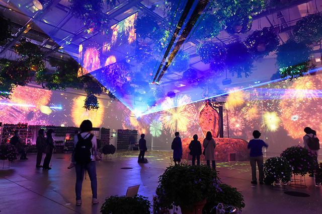 プロジェクションマッピング/HANA・BIYORI(東京都/稲城市)