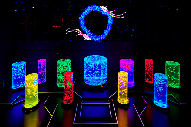 金魚の杜/アートアクアリウム美術館(東京都/中央区)