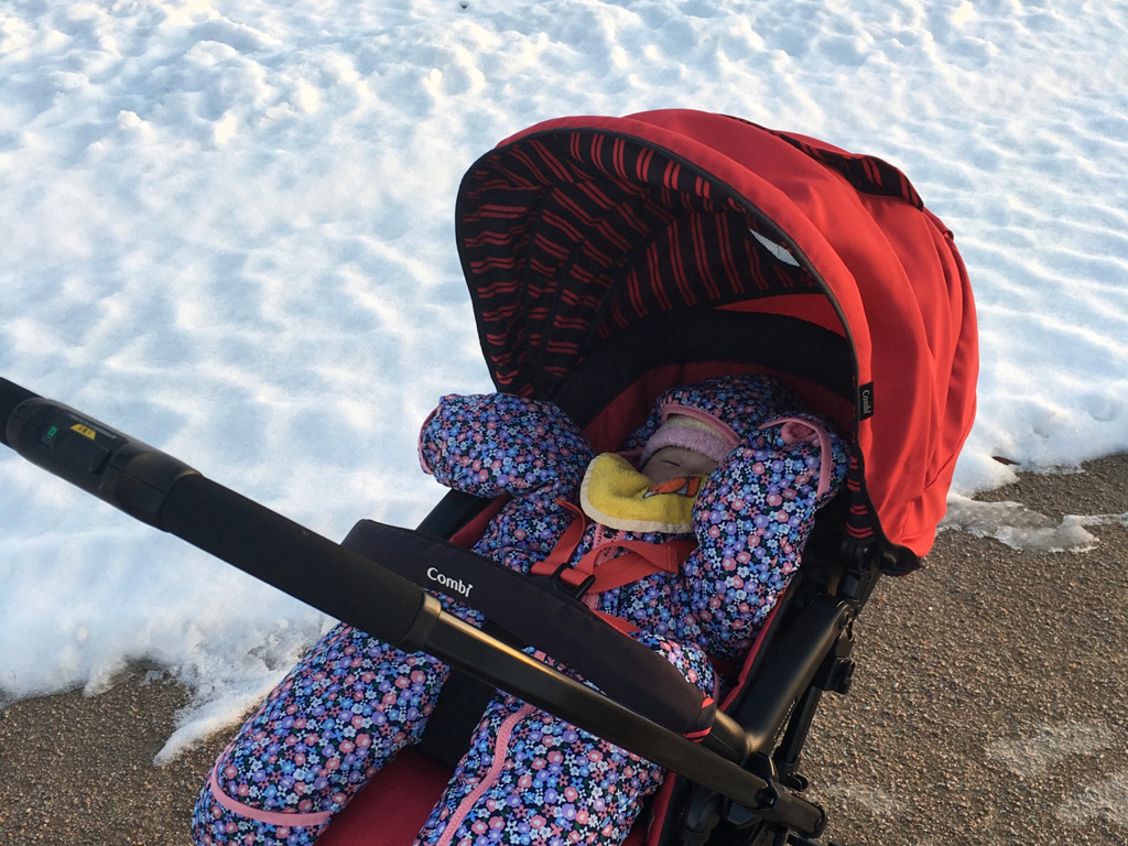 ベビーカーの長女と公園に