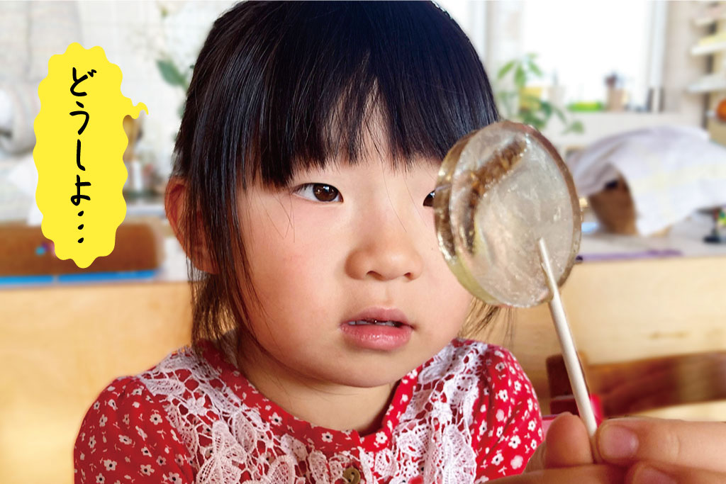 虫キャンディ（スーパーワーム）を眺める妹