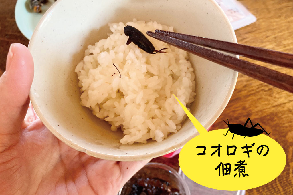 コオロギの佃煮