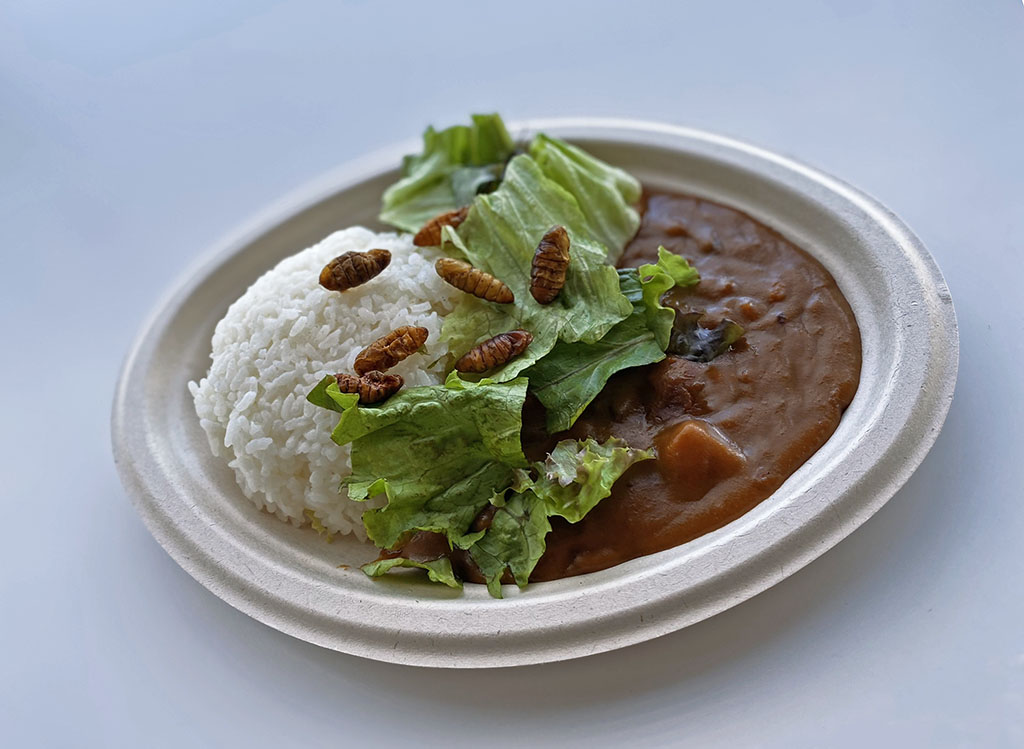 「Miraikan Kitchen」で食べられるシルクワームカレー／日本科学未来館