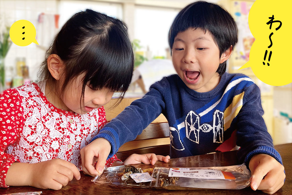昆虫食を前にする兄妹