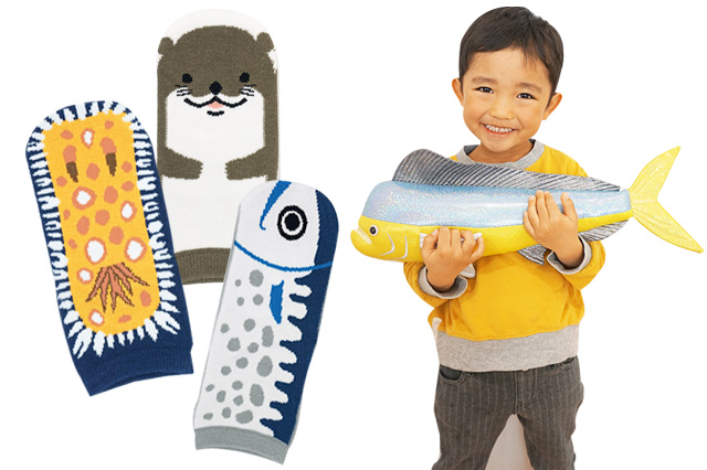 靴下各種とシイラのぬいぐるみ/高知県立足摺海洋館 SATOUMI（高知県/土佐清水市）