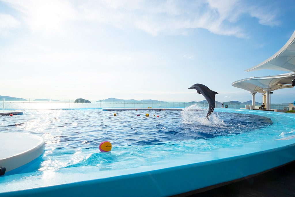 「海豚プール」/四国水族館（香川県/宇多津町）