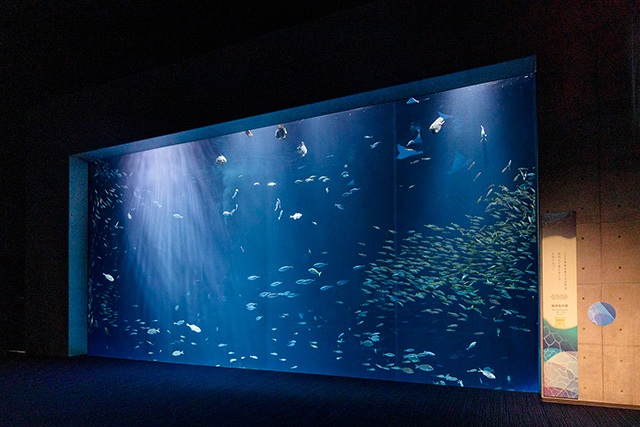 太平洋をイメージした「綿津見の景」/四国水族館（香川県/宇多津町）