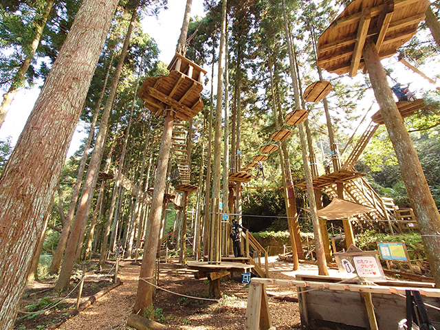 樹上アクティビティ/フォレストアドベンチャー・西条（愛媛県/西条市）