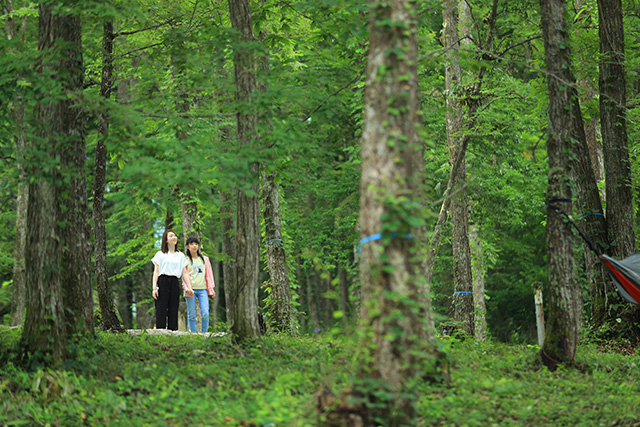 鳥取にちなんむら モクモクキャンプ（鳥取県/日南町）
