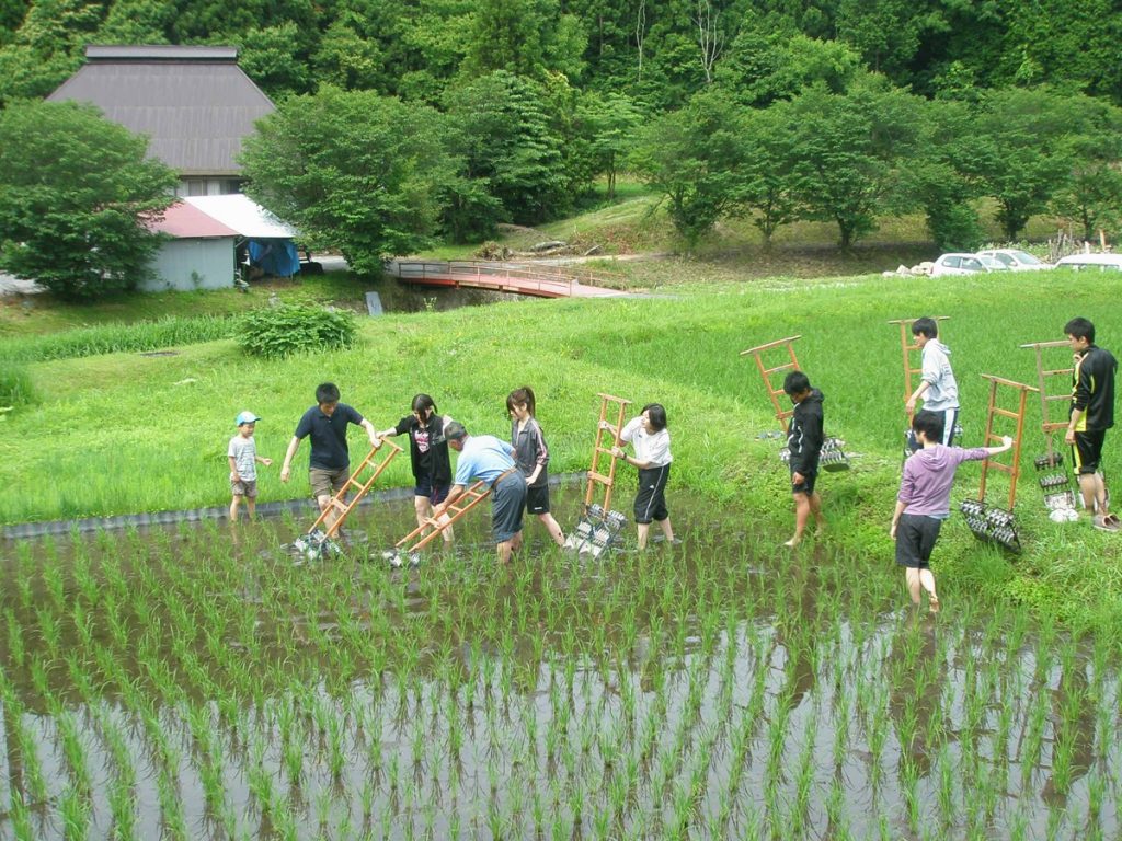 親子で楽しむ関西周辺の農業体験スポット。日帰りや宿泊者限定の農家民宿も