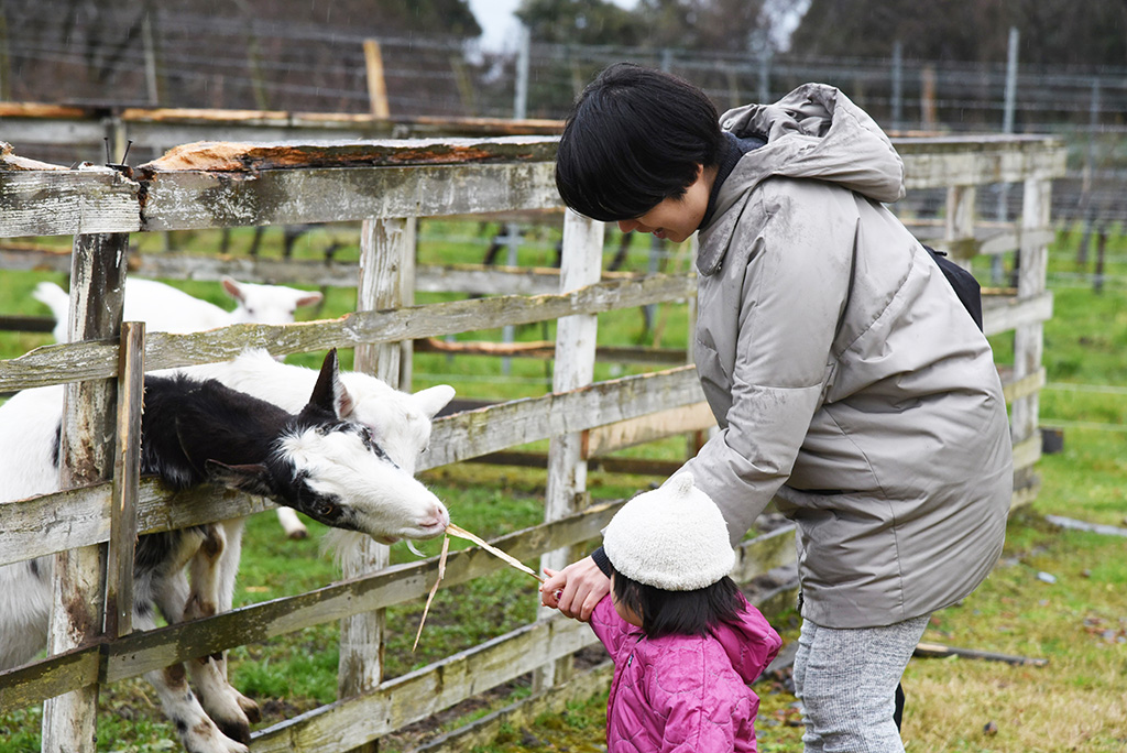 ヤギにエサをあげる様子/富山移住生活