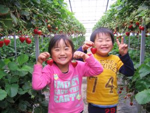 子連れにおすすめ！関東のいちご狩りができる3スポット。体験メニューやキッズスペースも