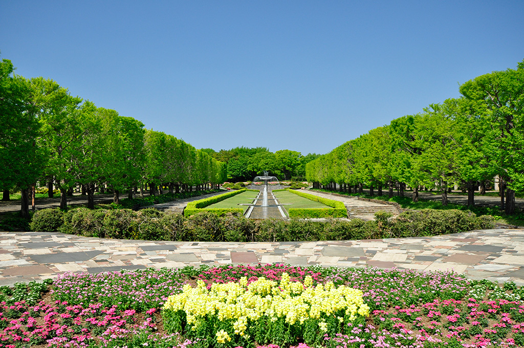 国営昭和記念公園（東京都/立川市）