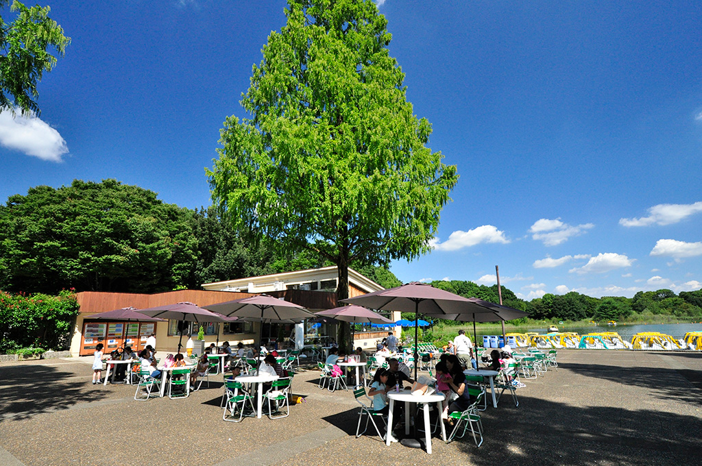 国営昭和記念公園（東京都/立川市）