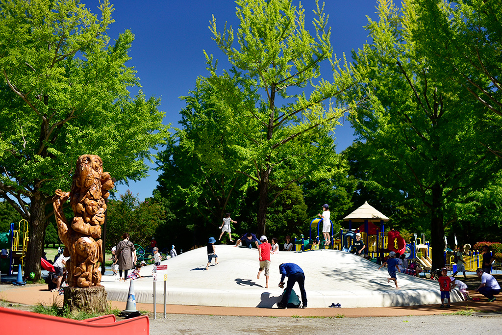 ふわふわドーム/国営昭和記念公園（東京都/立川市）