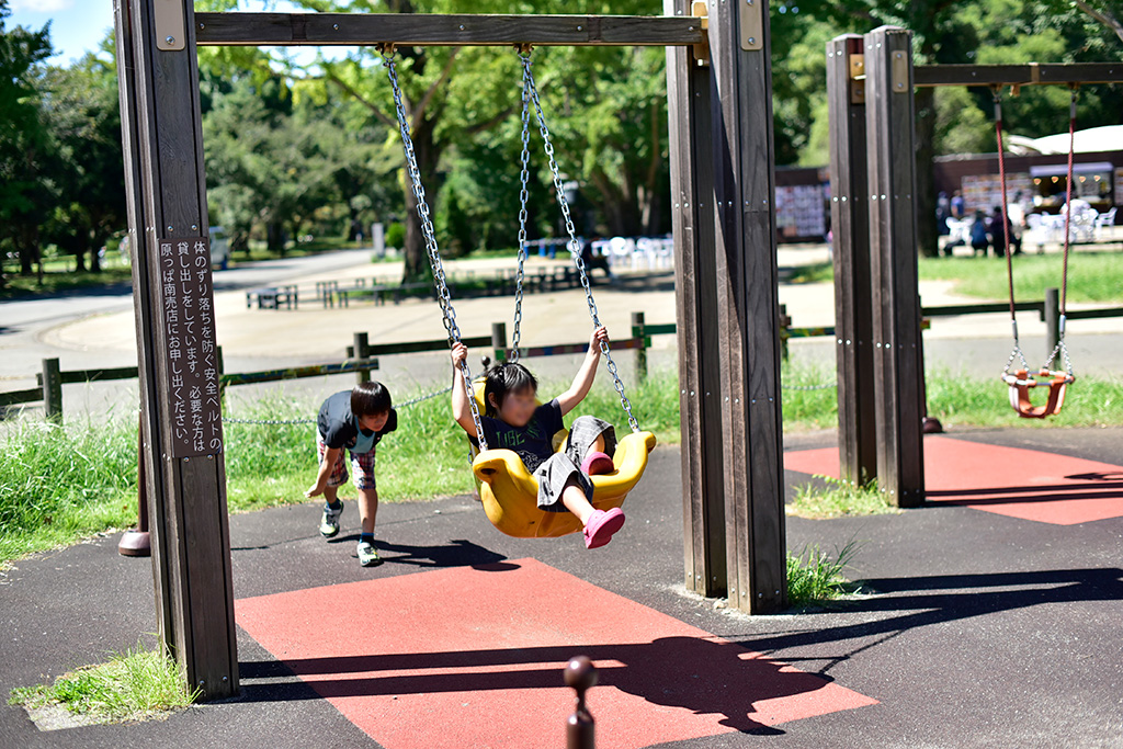ゆらゆらブランコ/国営昭和記念公園（東京都/立川市）