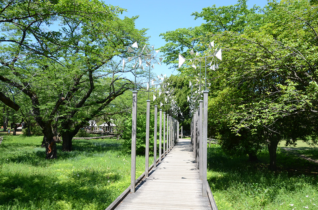 こどもの森/国営昭和記念公園（東京都/立川市）