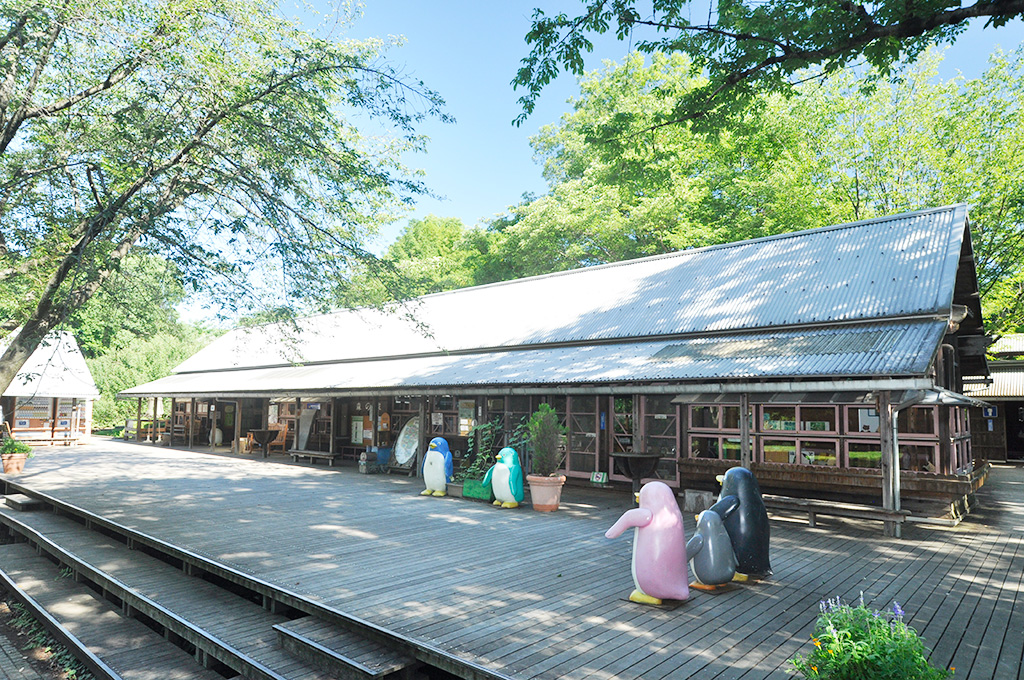森の家/国営昭和記念公園（東京都/立川市）