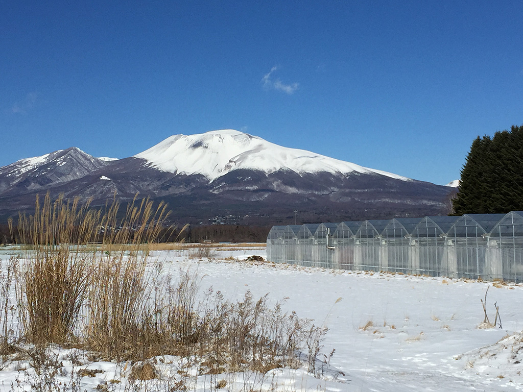 軽井沢ガーデンファームいちご園(長野県/軽井沢町)