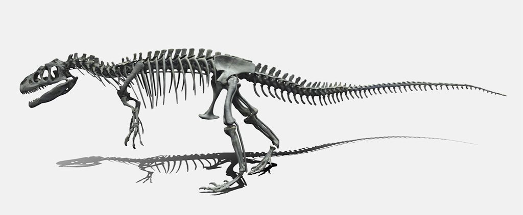 アロサウルス全身骨格化石デジタルデータ