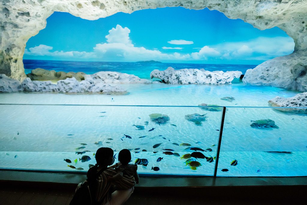 沖縄の海岸を再現した空間/DMMかりゆし水族館（沖縄県／豊見城市）