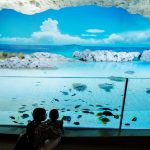 那覇近く「DMMかりゆし水族館」を徹底紹介！斬新な映像や展示を子どもと楽しもう
