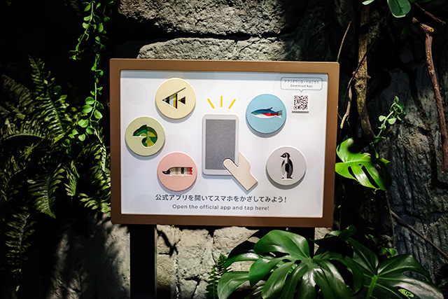 館内のタッチポイント/DMMかりゆし水族館（沖縄県／豊見城市）