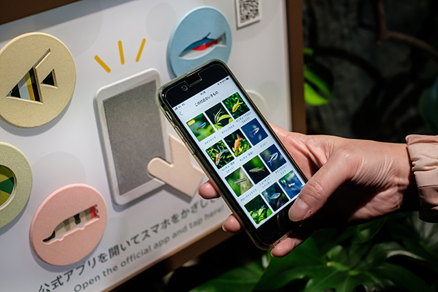 館内のタッチポイント//DMMかりゆし水族館（沖縄県／豊見城市）