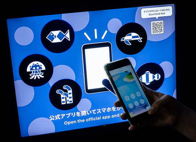 公式アプリ「いきものあつめ」のタッチポイント/DMMかりゆし水族館（沖縄県／豊見城市）