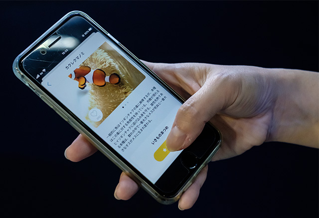 公式アプリ「いきものあつめ」/DMMかりゆし水族館（沖縄県／豊見城市）