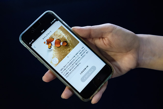 公式アプリ「いきものあつめ」/DMMかりゆし水族館（沖縄県／豊見城市）